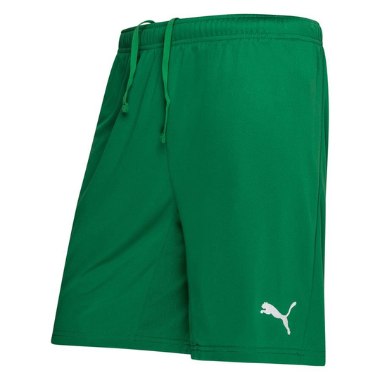 Manchester City Maalivahdin Shortsit 2021/22 - PUMA, koko Small