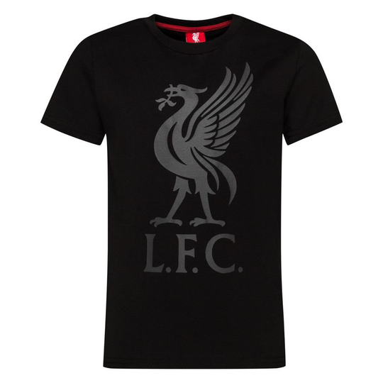Liverpool T-paita Liverbird - Musta/Harmaa Lapset