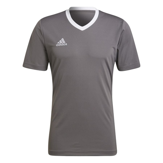 adidas Treenipaita Entrada 22 - Harmaa/valkoinen, koko 3XL