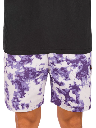 Dickies Sunburg Shorts violet