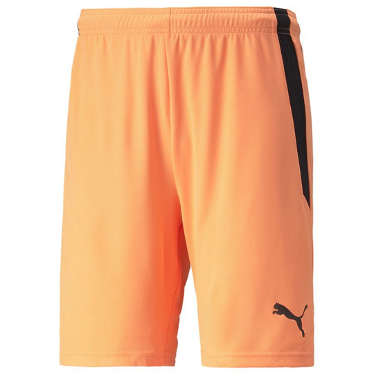 teamLIGA Shorts