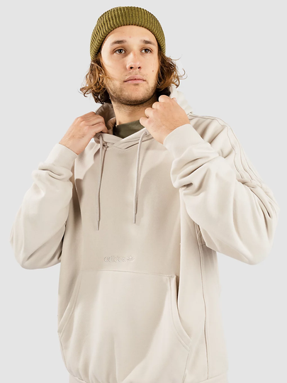 adidas Skateboarding Challenger Hoodie ruskea