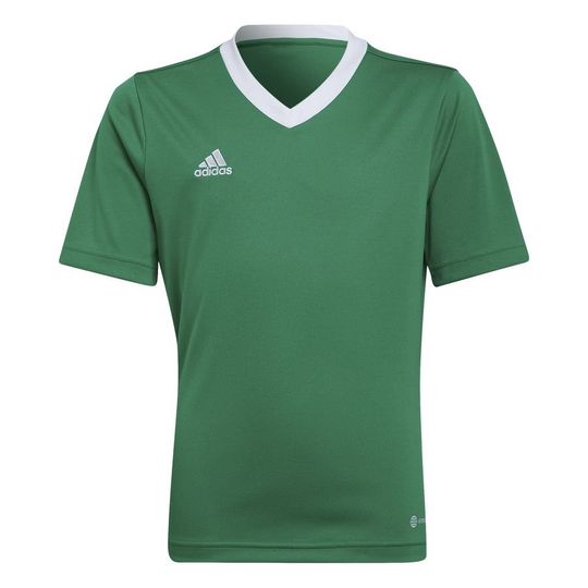adidas Treenipaita Entrada 22 - Vihreä/Valkoinen Lapset, koko 116 cm