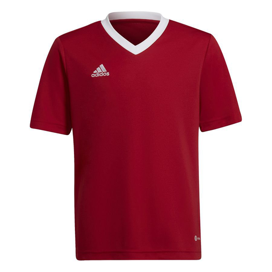 adidas Treenipaita Entrada 22 - Punainen/Valkoinen Lapset