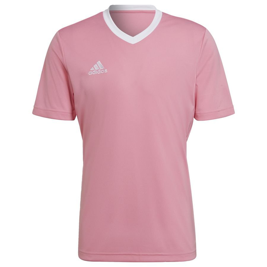 adidas Treenipaita Entrada 22 - Pinkki
