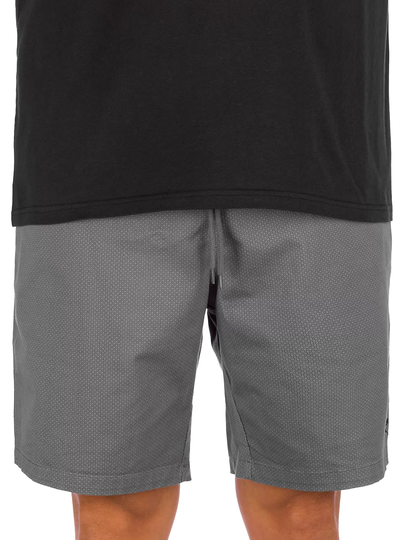 Iriedaily Love n Relax Shorts harmaa