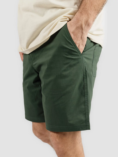 Coal Tenmile Shorts vihreä