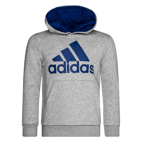 adidas Big Logo Huppari - Harmaa/Sininen Lapset