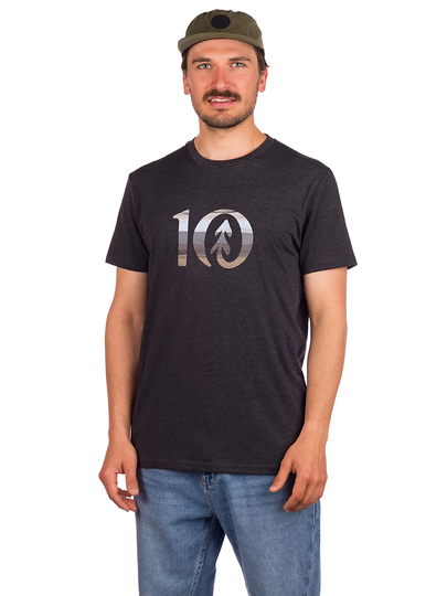 Tentree Spruce Stripe Ten T-Shirt musta