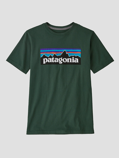 Patagonia Regenerative Organic Certified Cotton P- T-Shirt vihreä