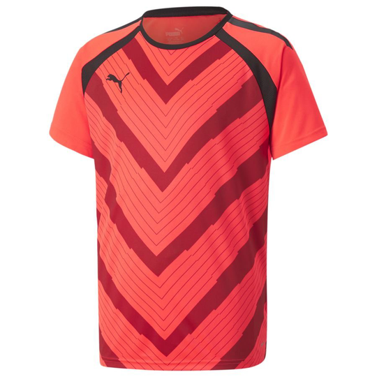 PUMA Treenipaita teamLIGA Graphic Fearless - Punainen/Burnt Red Lapset