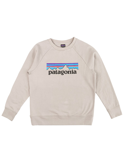 Patagonia Lw Crew Sweater harmaa