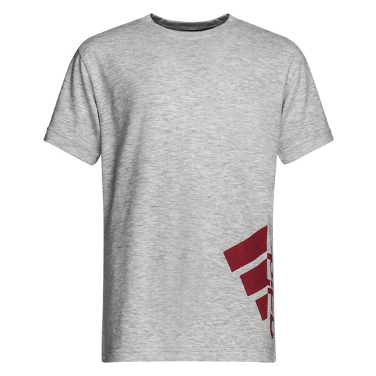 adidas T-paita Summer - Harmaa/Viininpunainen Lapset