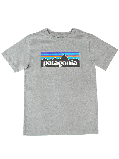 Patagonia Regenerative Organic Certified Cotton P- T-Shirt harmaa