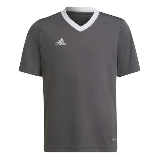 adidas Treenipaita Entrada 22 - Harmaa/Valkoinen Lapset