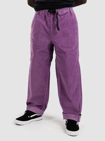 Levi's Skate Quick Release Pants violet