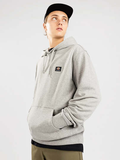 Dickies Mount Vista Hoodie harmaa