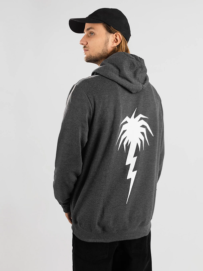 CAPiTA SB Kooks Hoodie harmaa