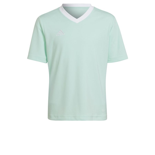adidas Treenipaita Entrada 22 - Vihreä/Valkoinen Lapset