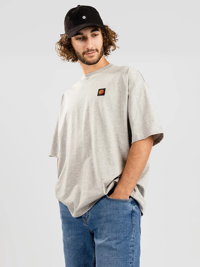 Santa Cruz Classic Label T-Shirt harmaa
