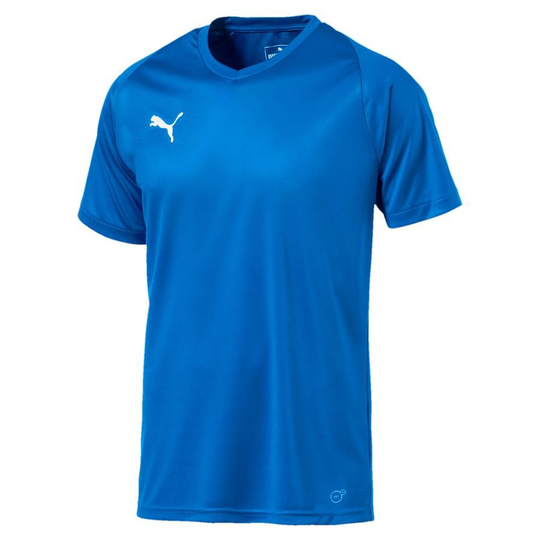 PUMA Pelipaita Liga Core - Sininen Lapset, koko YM/140 cm