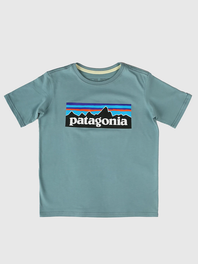Patagonia Regenerative Organic Certified Cotton P- T-Shirt sininen