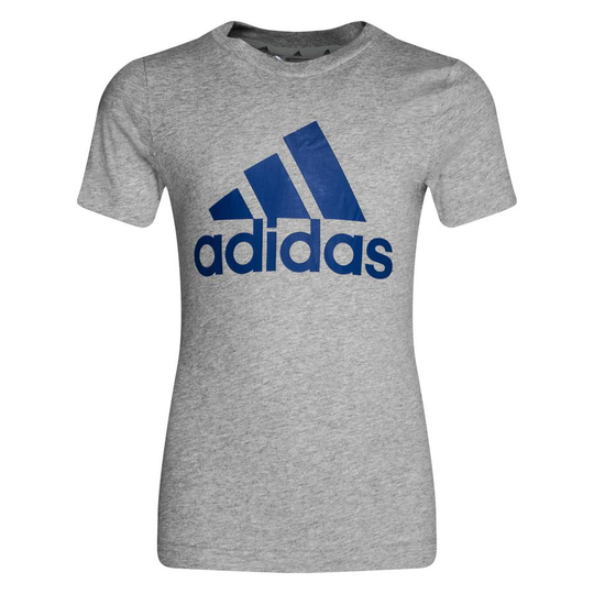 adidas T-paita Essentials Big Logo - Harmaa/Sininen Lapset