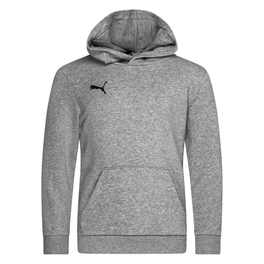 PUMA Huppari teamGOAL 23 Casuals - Harmaa/Musta Lapset