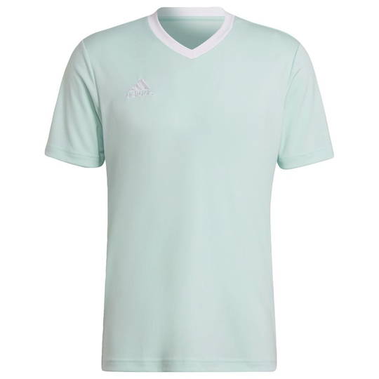 adidas Treenipaita Entrada 22 - Vihreä