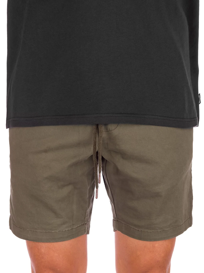 REELL Reflex Easy Shorts Shorts vihreä