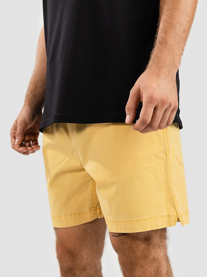 Quiksilver Taxer 17" Shorts ruskea