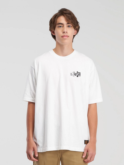 Levi's Skate Graphic Box Neutrals T-Shirt valkoinen