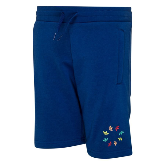 adidas Originals Collegeshortsit Adicolor - Sininen Lapset