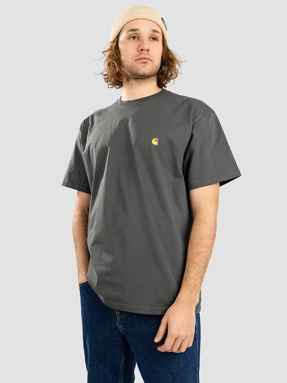 Carhartt WIP Chase T-Shirt vihreä