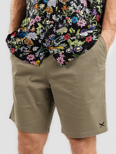 Iriedaily Love n Relax Shorts vihreä