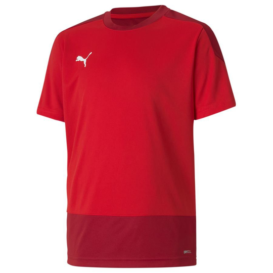 PUMA Treenipaita teamGOAL 23 - Punainen/Punainen Lapset